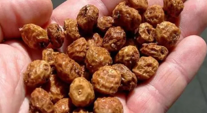 Aprender español en Valencia 12