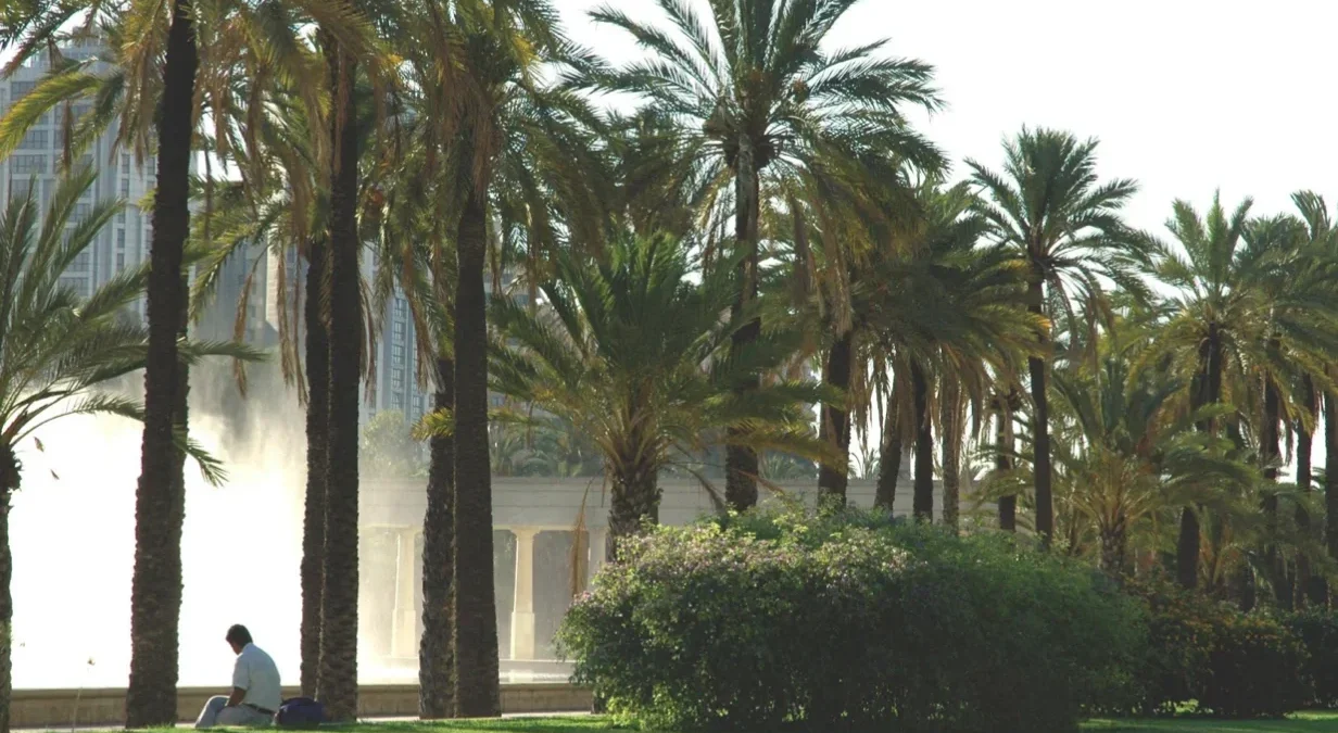 Aprender español en Valencia 6