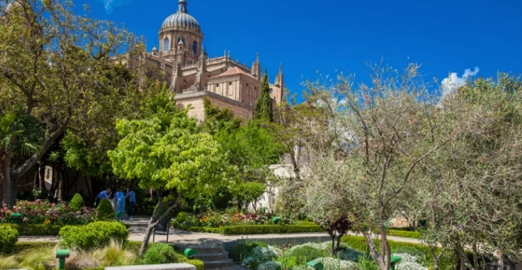 aprender-espanol-en-salamanca-18