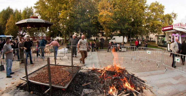 aprender-espanol-en-santiago-28