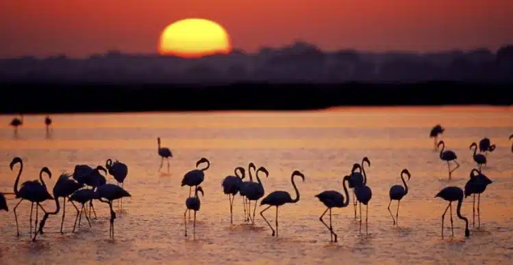 aprender-espanol-en-sevilla-1