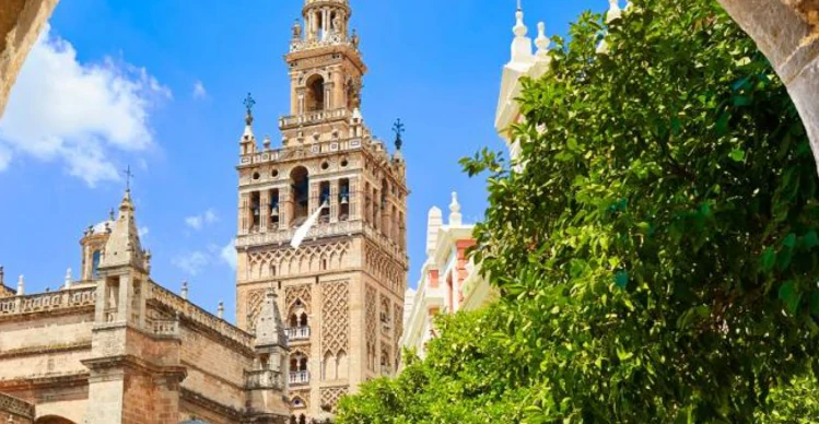 aprender-espanol-en-sevilla-22